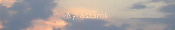 Ny�l�sz�r�k